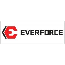 EVER FORCE